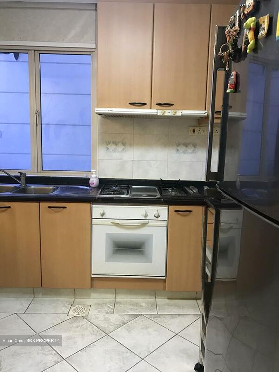 Northvale (D23), Apartment #519136401